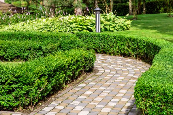 Cost of Paved Landscaping in Riverview