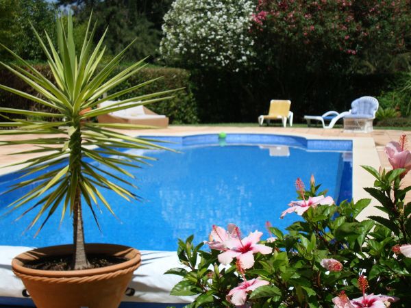 Pool Terrace Renovation in Riverview