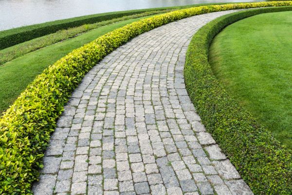 Cost of Sidewalk Pavers Installation in Riverview