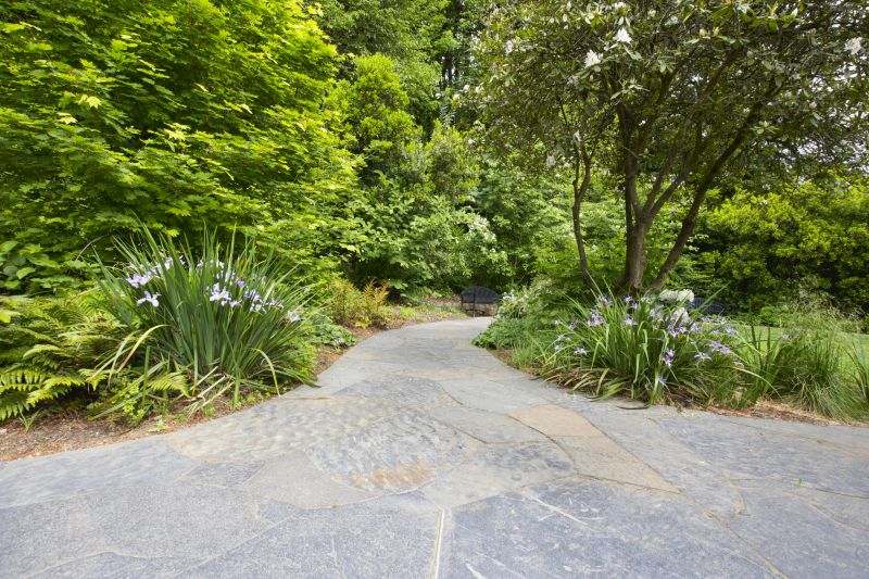 Outdoor Paver Walkway